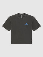 Dickies | Shonto Midweight T-shirt - Black