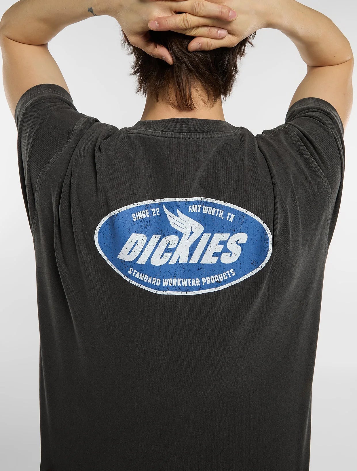 Dickies | Shonto Midweight T-shirt - Black