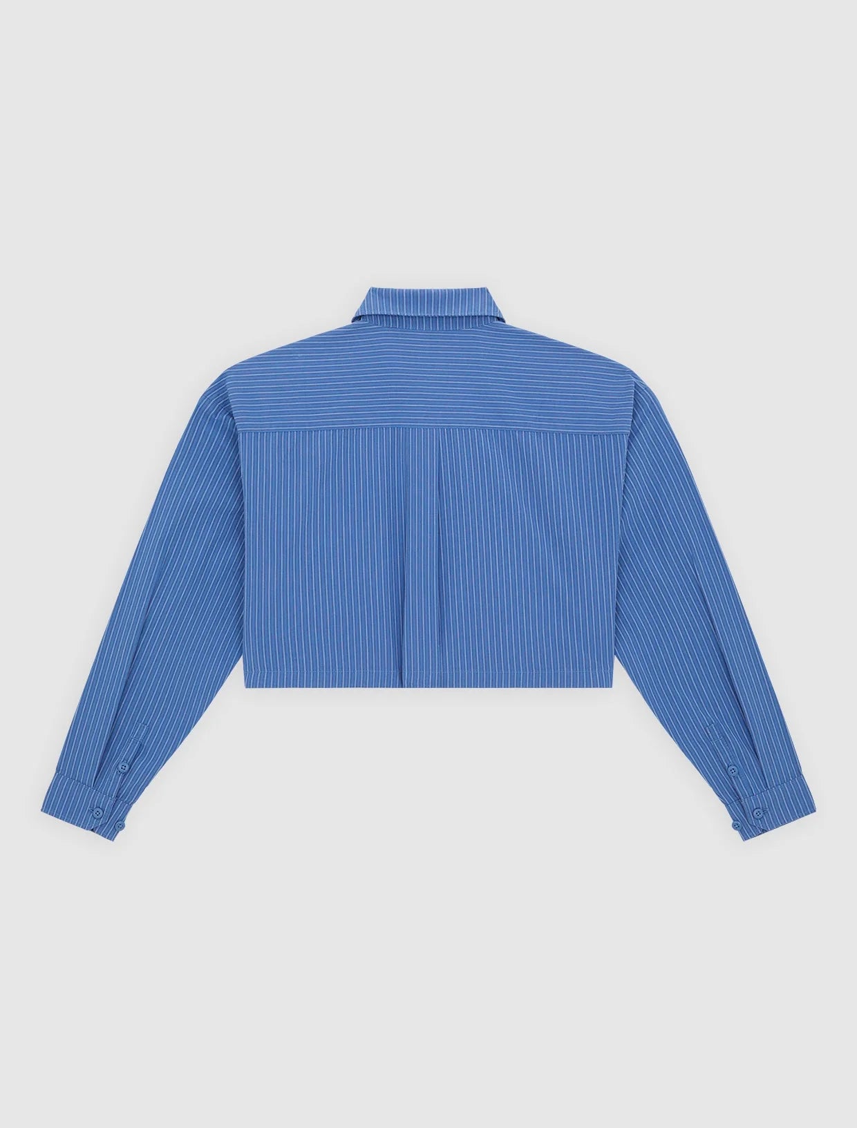 Dickies | Shalimar Cropped Shirt - Dutch Blue