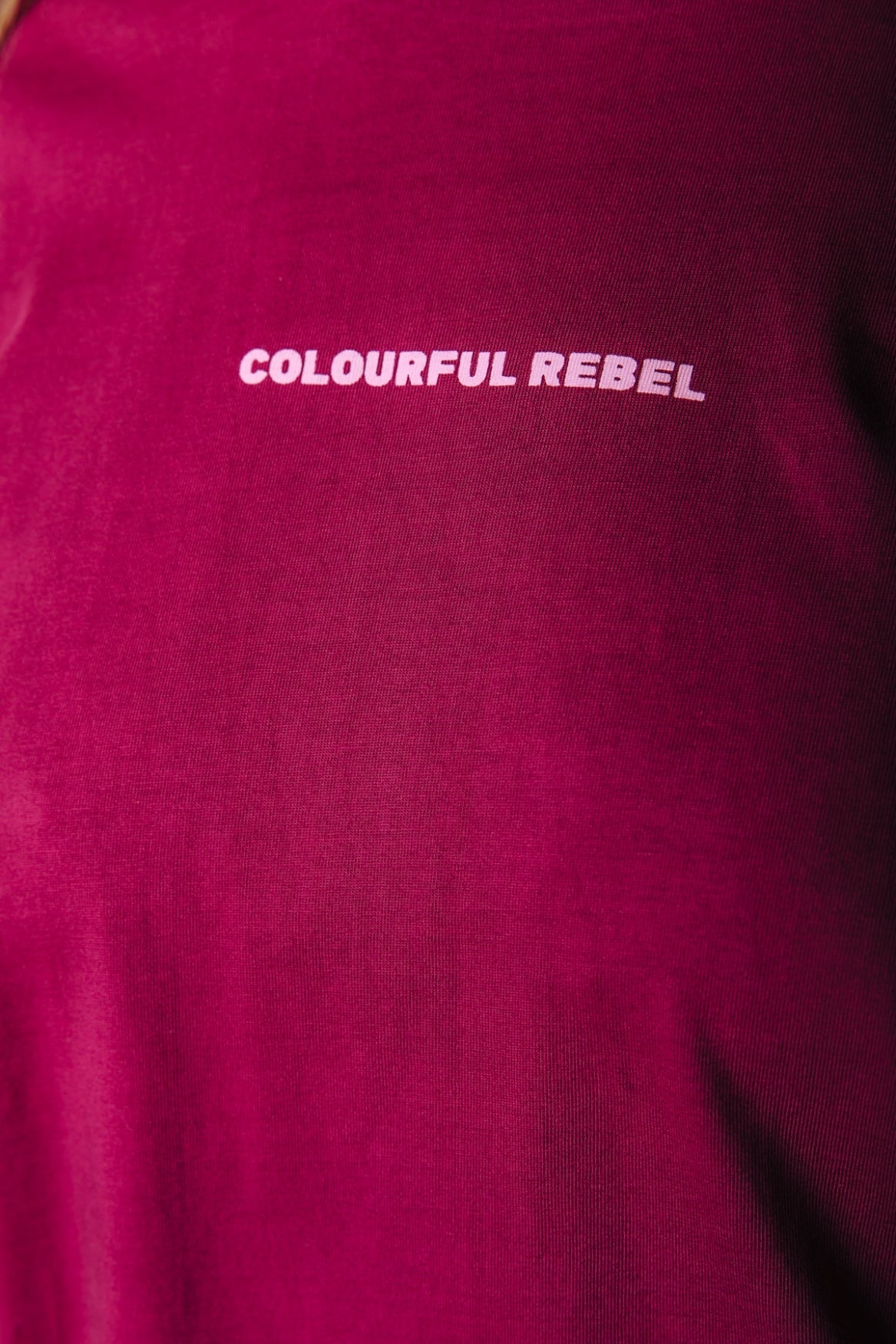 Colourful Rebel Uni Logo Boxy T-shirt - Burgundy - Kubanna