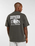 Dickies Buchtell Midweight T-shirt - Washed Black - Kubanna