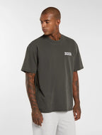 Dickies Buchtell Midweight T-shirt - Washed Black - Kubanna