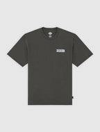 Dickies Buchtell Midweight T-shirt - Washed Black - Kubanna
