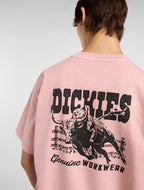 Dickies Buchtell Midweight T-shirt - Washed Pink - Kubanna