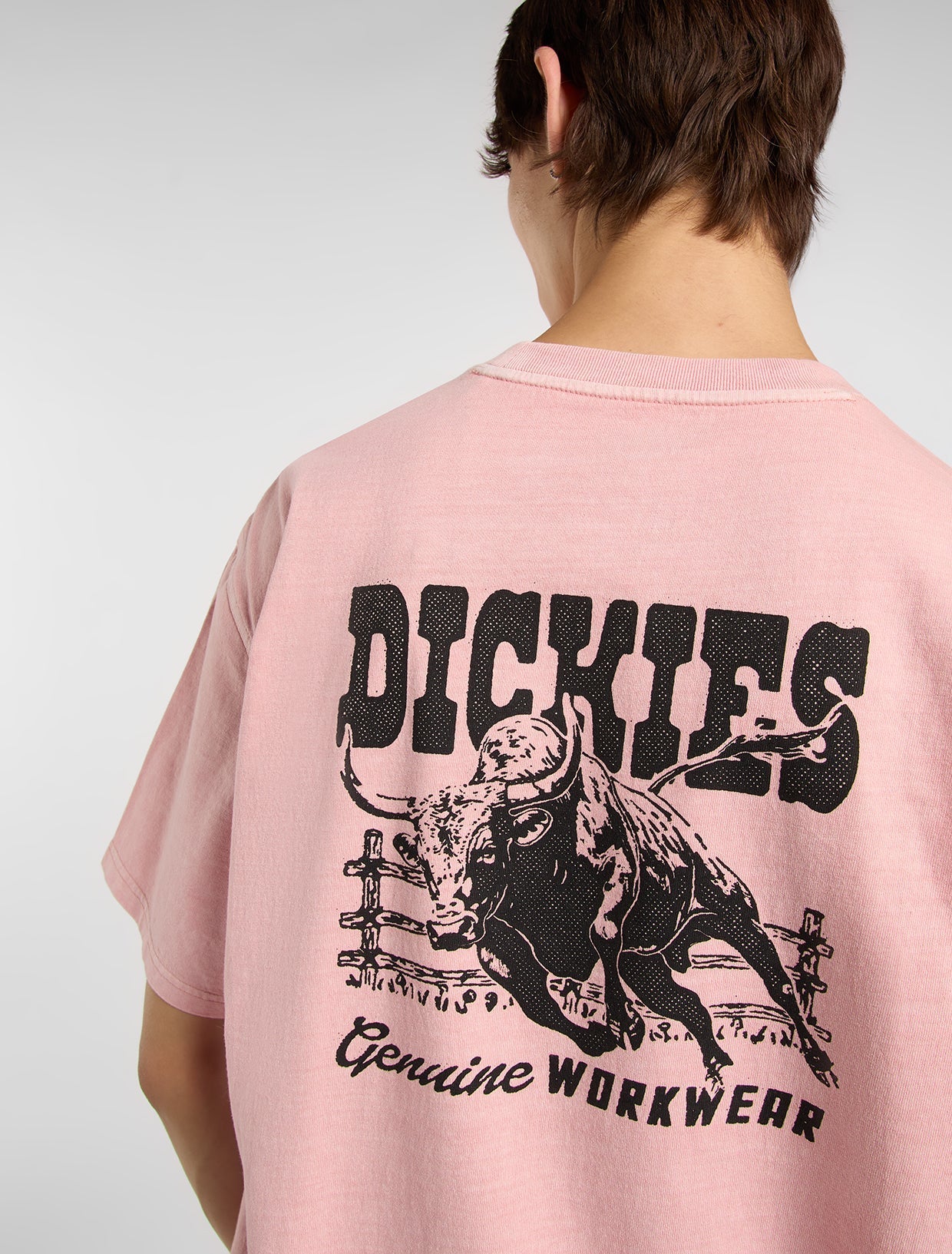 Dickies Buchtell Midweight T-shirt - Washed Pink - Kubanna