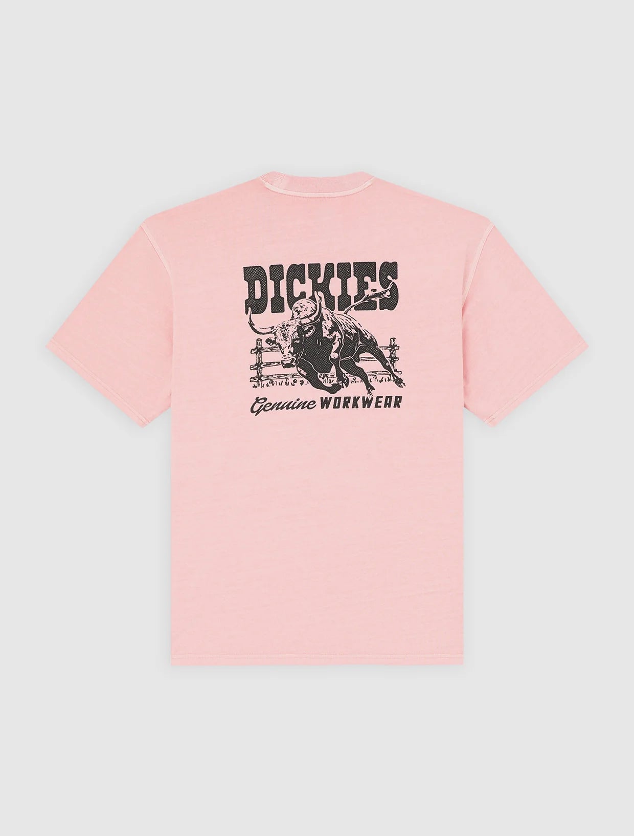 Dickies Buchtell Midweight T-shirt - Washed Pink - Kubanna