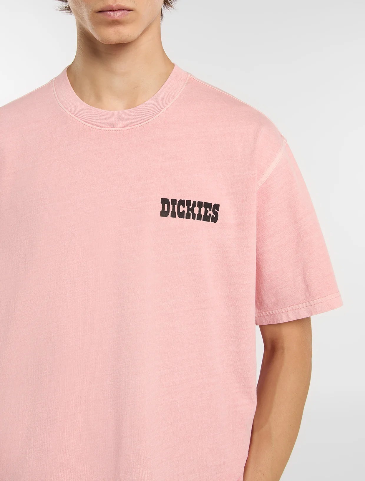 Dickies Buchtell Midweight T-shirt - Washed Pink - Kubanna