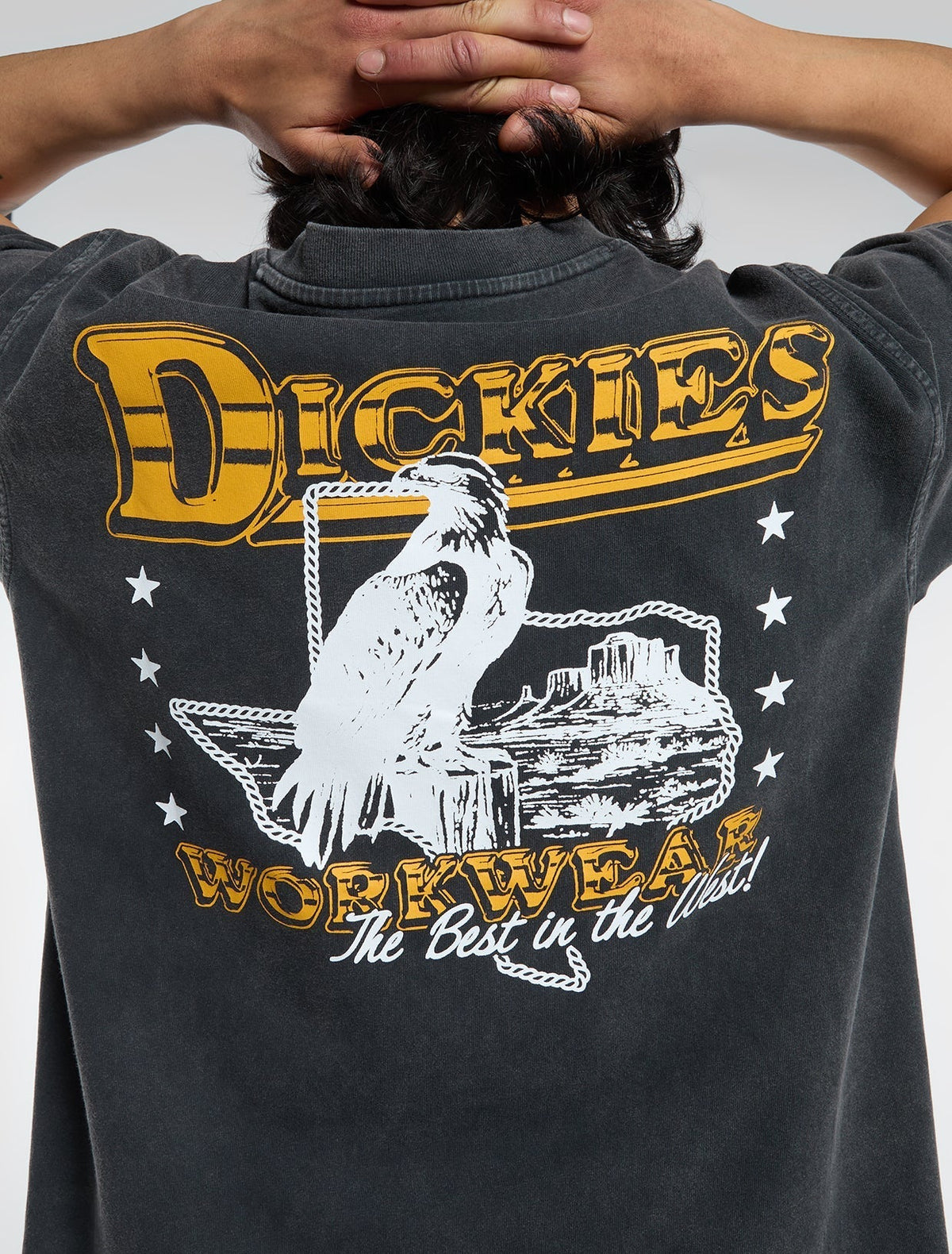 Dickies | Gainesville Midweight T-shirt - Black - Kubanna