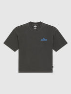 Dickies | Shonto Midweight T-shirt - Black - Kubanna