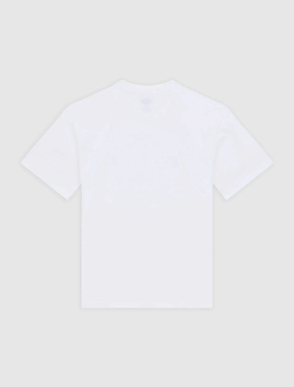 Dickies | Somerton Midweight T-shirt - White - Kubanna